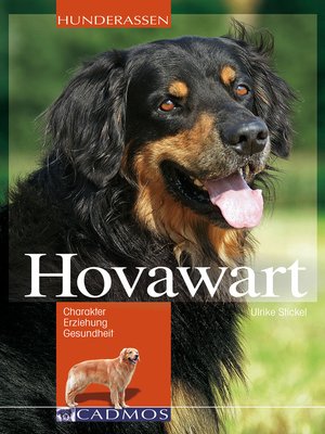 cover image of Hovawart